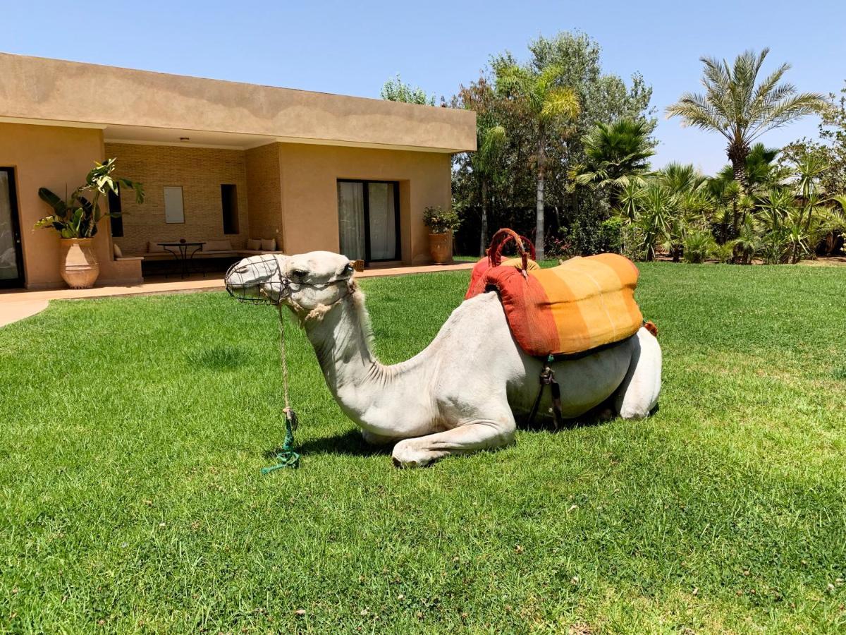 Marrakech Retreat Hotel Srarhna ภายนอก รูปภาพ